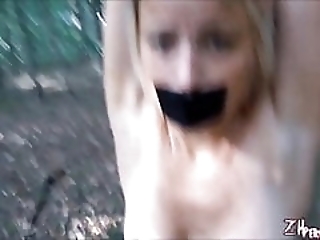 ���� ���������� �������� ���� �� ���� ����� ����������